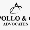 apollo and co. advocates